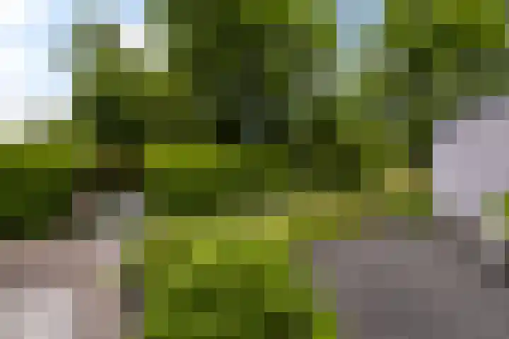 Buitenplaats 38 Dronten thumbnail 4