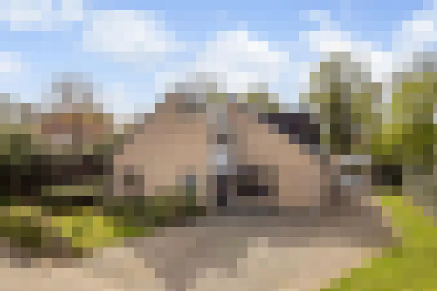 Buitenpostlaan 7 Arnhem