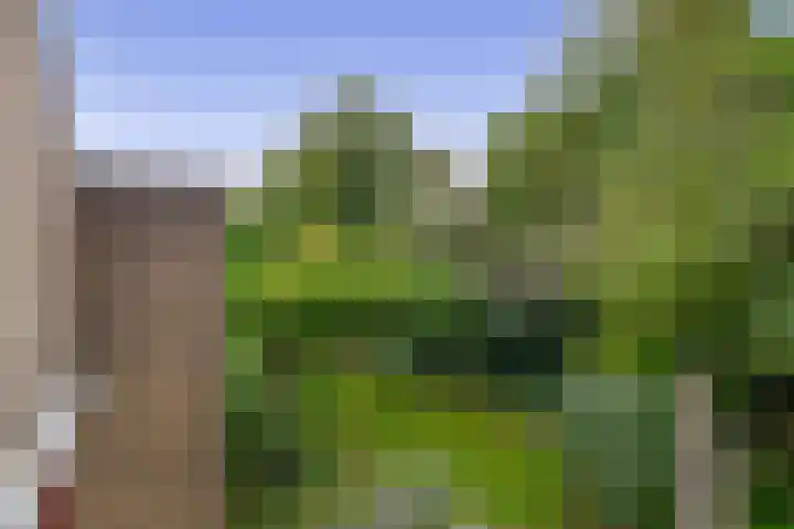 Buitenpostlaan 9 Arnhem thumbnail 39