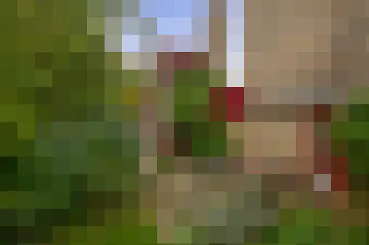 Buitenpostlaan 9 Arnhem thumbnail 47