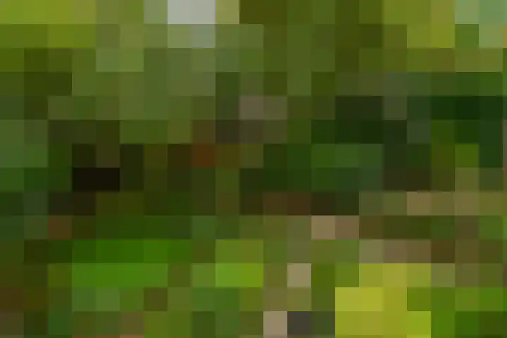 Buitenpostlaan 9 Arnhem thumbnail 52