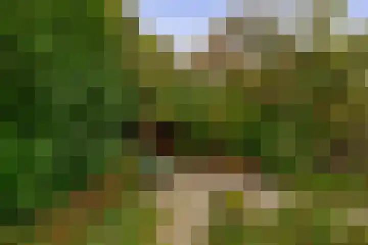 Buitenpostlaan 9 Arnhem thumbnail 54