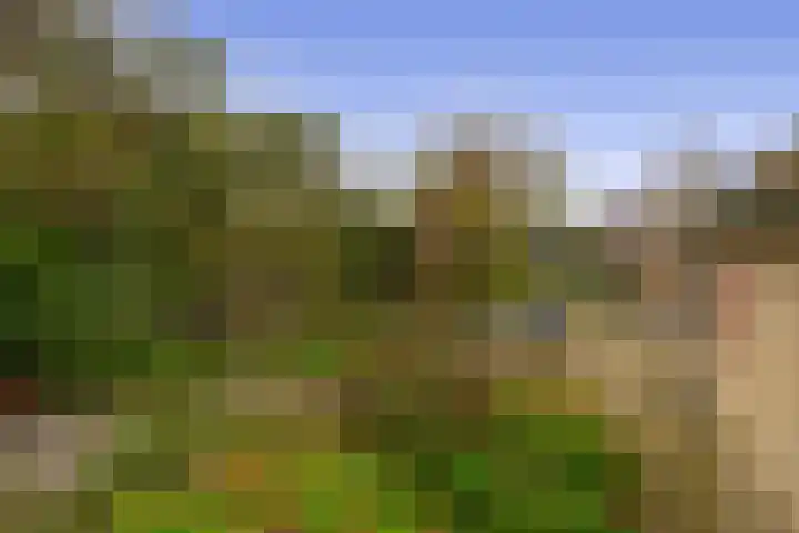 Buitenpostlaan 9 Arnhem thumbnail 56