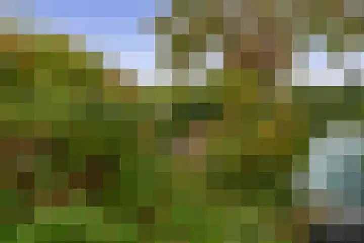 Buitenpostlaan 9 Arnhem thumbnail 60