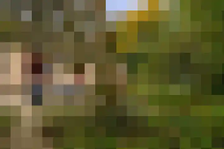 Buitenpostlaan 9 Arnhem thumbnail 61