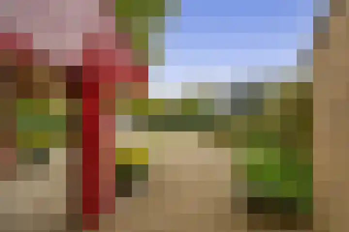 Buitenpostlaan 9 Arnhem thumbnail 65