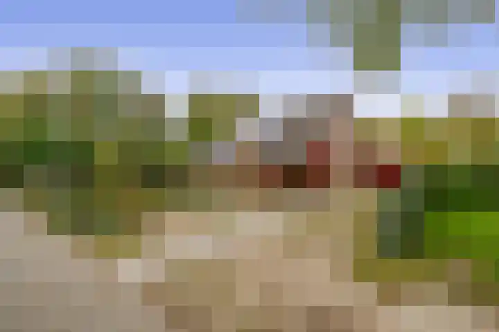 Buitenpostlaan 9 Arnhem thumbnail 66