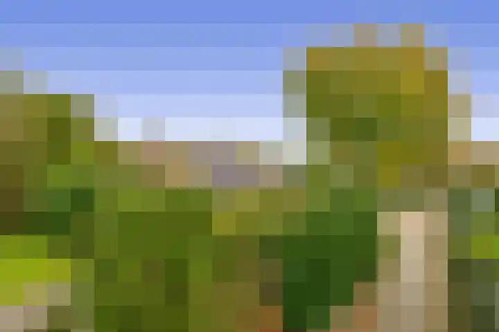 Buitenpostlaan 9 Arnhem thumbnail 69