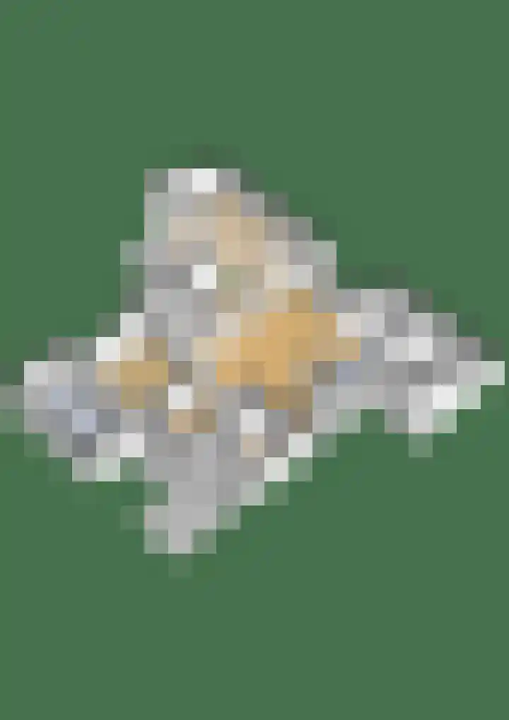 Buitenpostlaan 9 Arnhem thumbnail 71