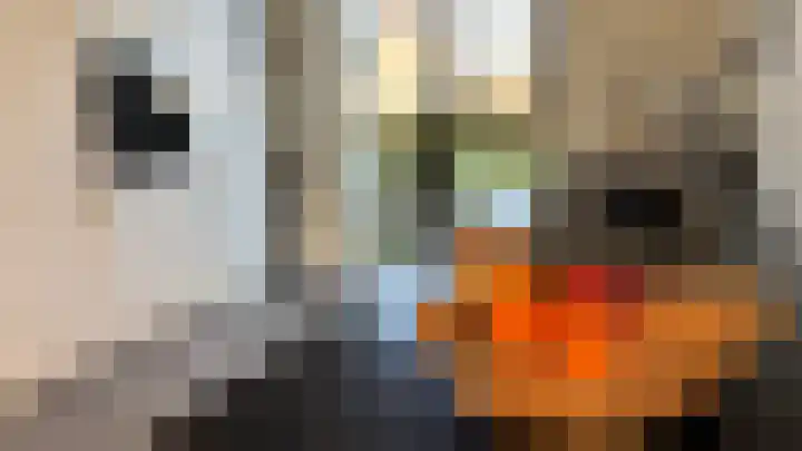Buitenring 28 Middelharnis thumbnail 12