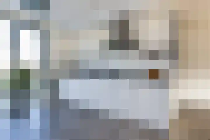 Buitenring 28 Middelharnis thumbnail 13