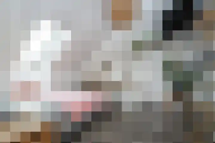 Buitenring 28 Middelharnis thumbnail 24