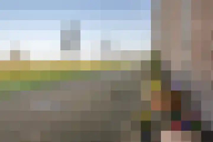 Buitenring 28 Middelharnis thumbnail 31