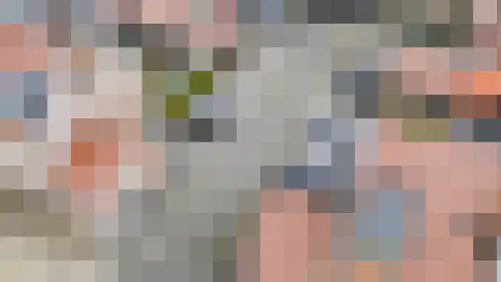 Buitenring 28 Middelharnis thumbnail 33
