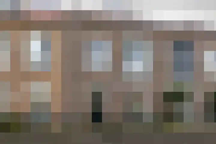 Buitenring 28 Middelharnis thumbnail 34