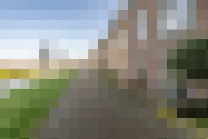 Buitenring 28 Middelharnis thumbnail 4