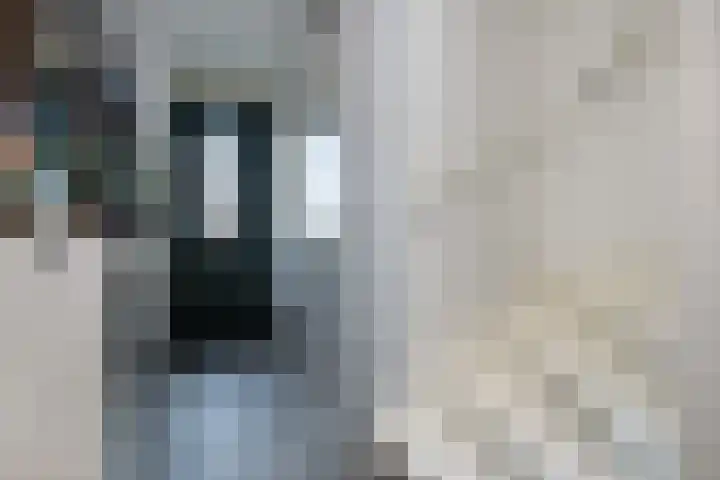 Buitenring 28 Middelharnis thumbnail 5
