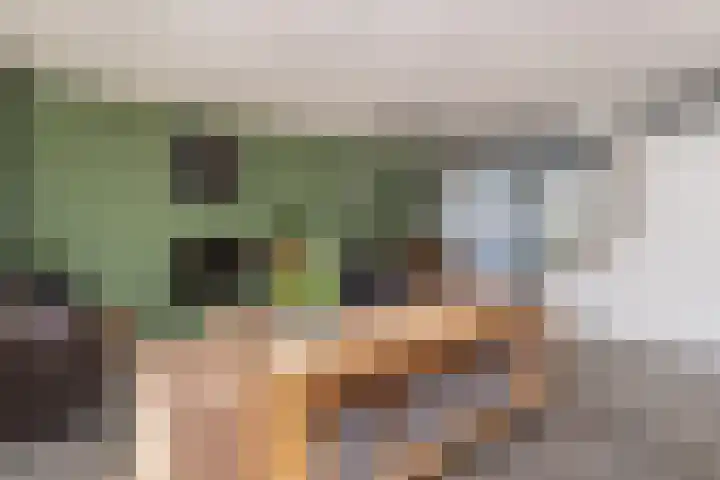 Buitenring 28 Middelharnis thumbnail 7