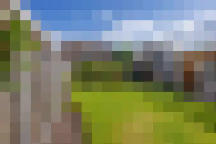 Buitenroede 11 Smilde thumbnail 41