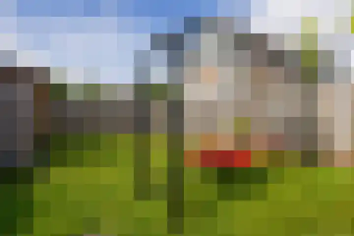 Buitenroede 11 Smilde thumbnail 43