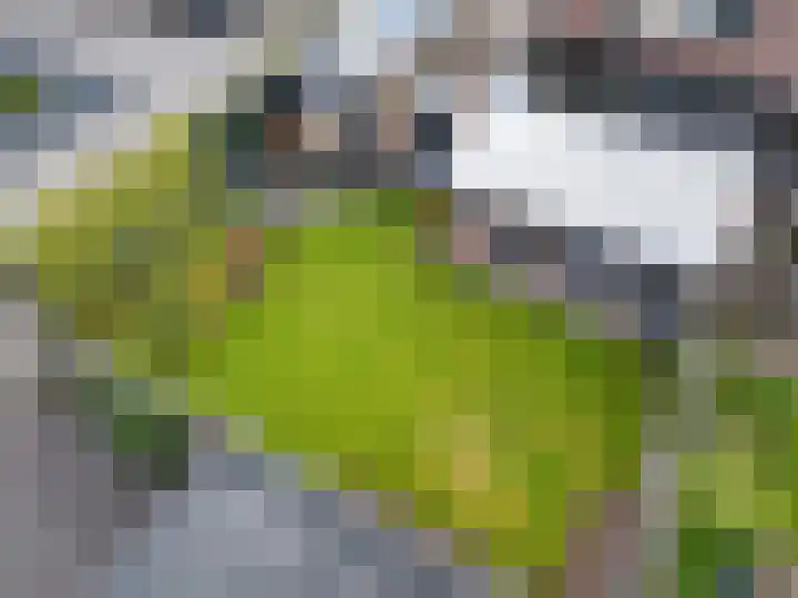 Buitenroede 11 Smilde thumbnail 44