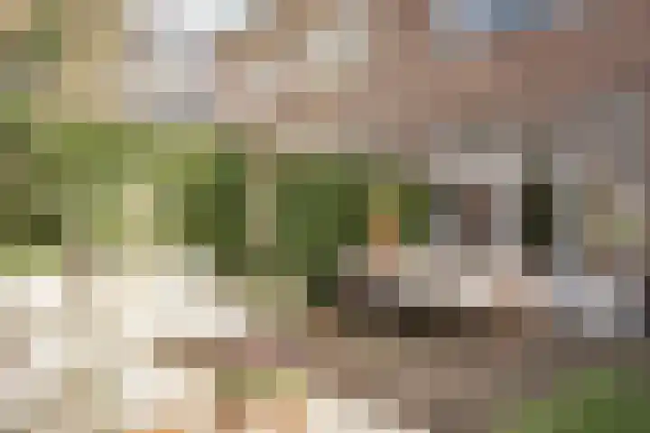 Buitenrustlaan 4 Haarlem thumbnail 15