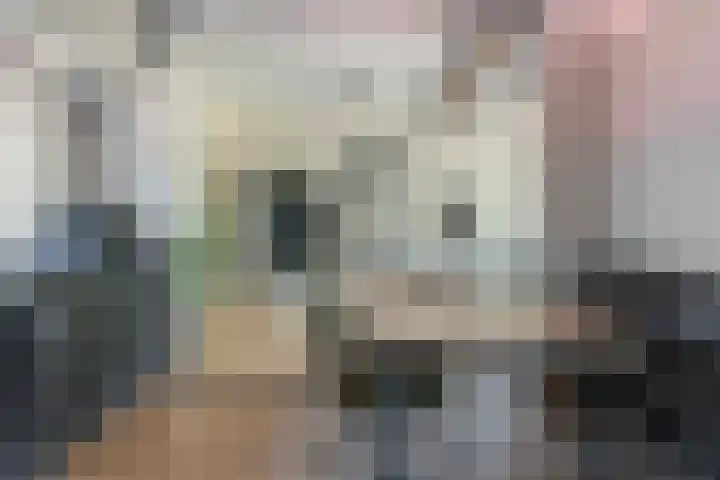 Buitensingel 1 Oldehove thumbnail 10