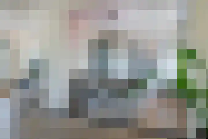 Buitensingel 1 Oldehove thumbnail 15
