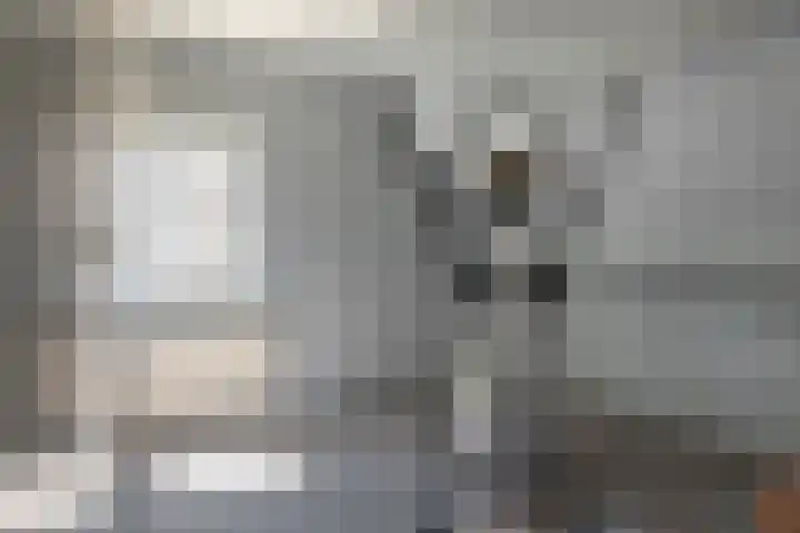 Buitensingel 1 Oldehove thumbnail 26