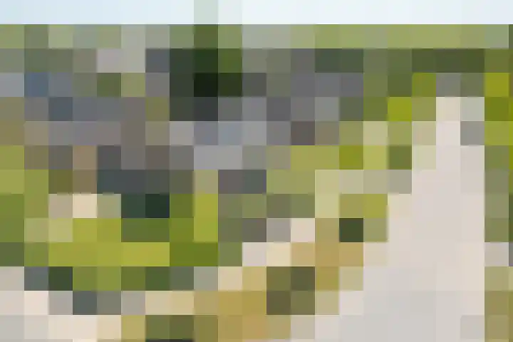 Buitensingel 1 Oldehove thumbnail 40