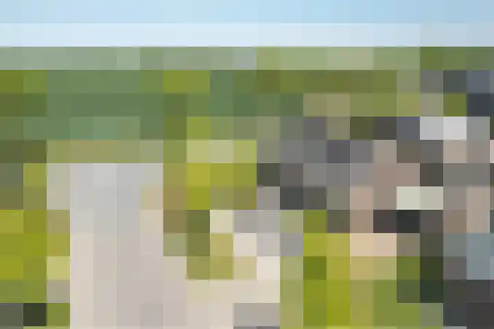 Buitensingel 1 Oldehove thumbnail 45