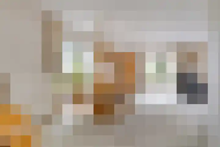 Buitensingel 1 Sappemeer thumbnail 10