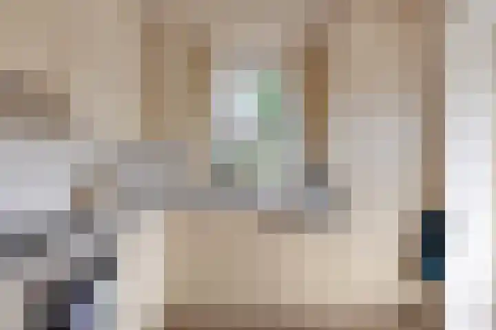 Buitensingel 1 Sappemeer thumbnail 12