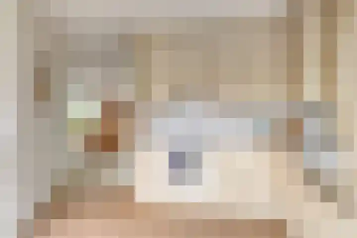 Buitensingel 1 Sappemeer thumbnail 13