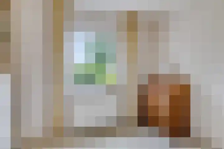 Buitensingel 1 Sappemeer thumbnail 15
