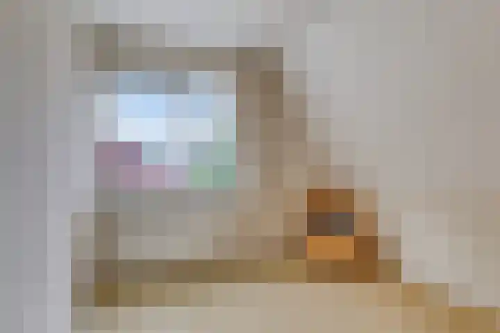 Buitensingel 1 Sappemeer thumbnail 24