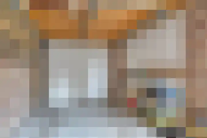 Buitensingel 1 Sappemeer thumbnail 25