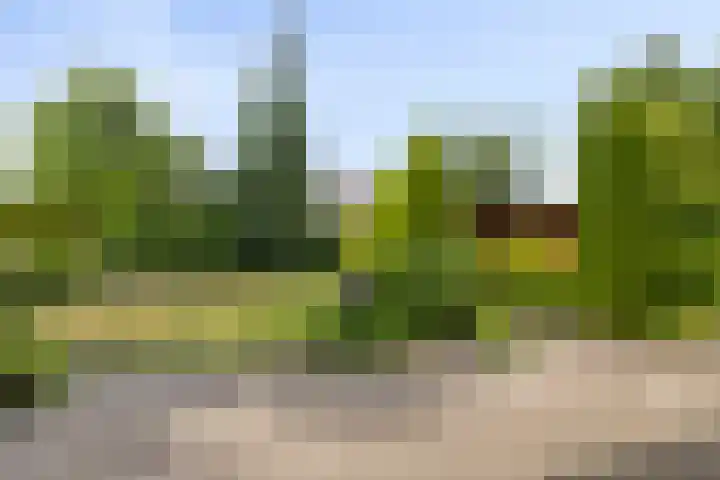 Buitensingel 1 Sappemeer thumbnail 27