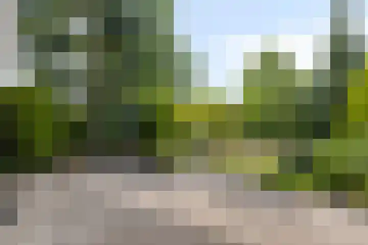 Buitensingel 1 Sappemeer thumbnail 29