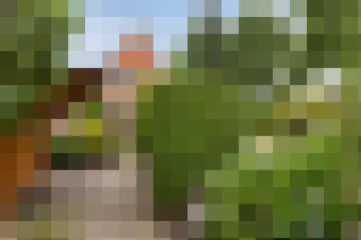 Buitensingel 1 Sappemeer thumbnail 35