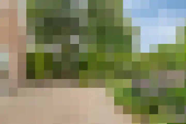 Buitensingel 1 Sappemeer thumbnail 36