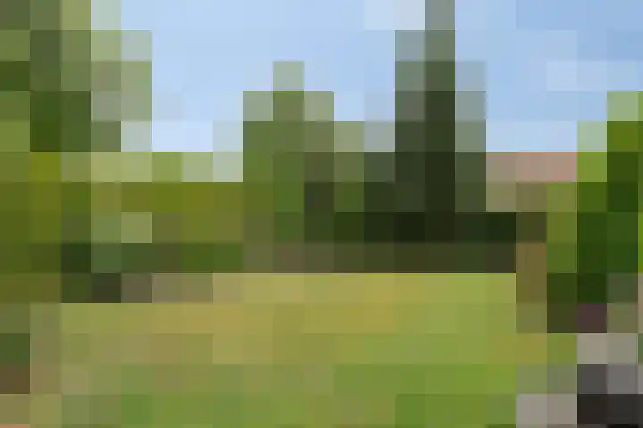 Buitensingel 1 Sappemeer thumbnail 38