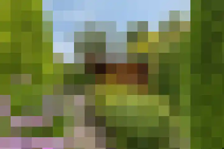 Buitensingel 1 Sappemeer thumbnail 39