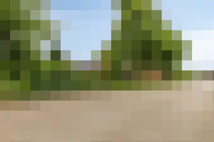 Buitensingel 1 Sappemeer thumbnail 43