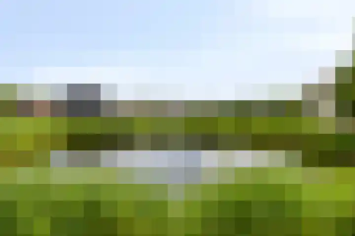 Buitensingel 1 Sappemeer thumbnail 44