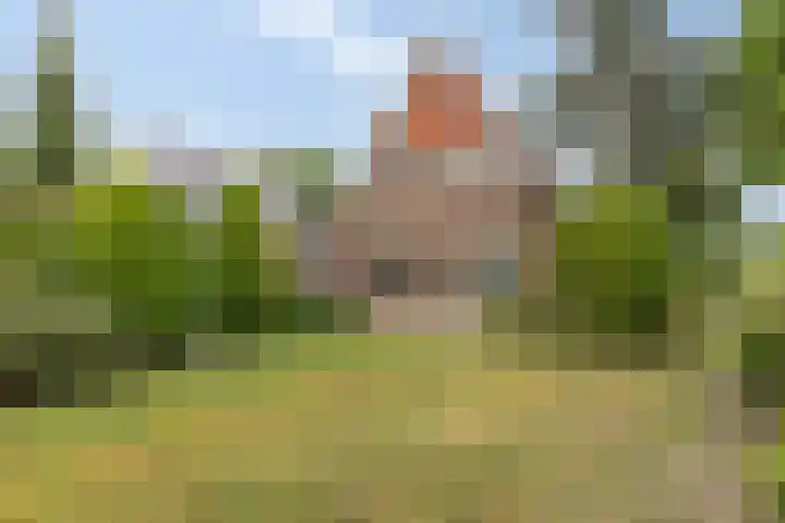 Buitensingel 1 Sappemeer thumbnail 49