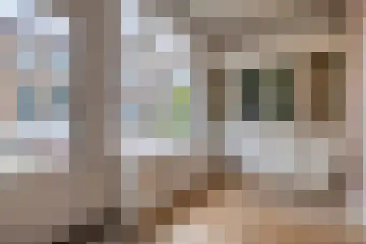 Buitensingel 14 Zutphen thumbnail 11