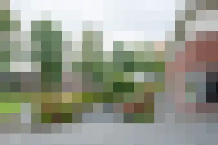 Buitensingel 36 Sappemeer thumbnail 10