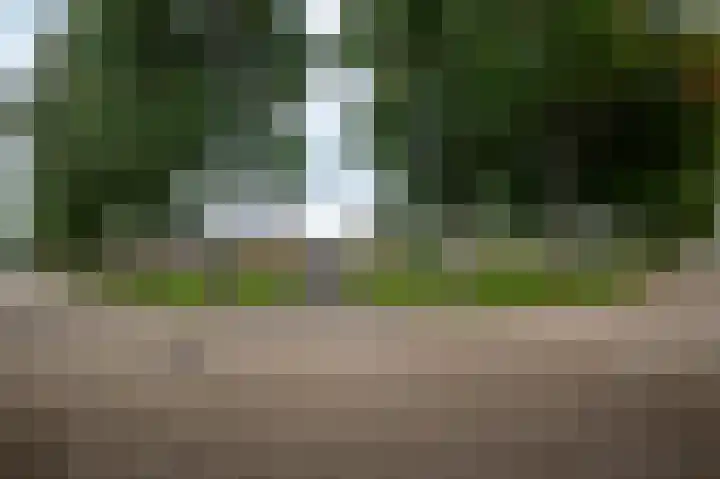 Buitensingel 36 Sappemeer thumbnail 11