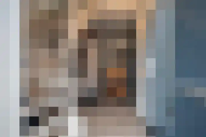 Buitensingel 36 Sappemeer thumbnail 15